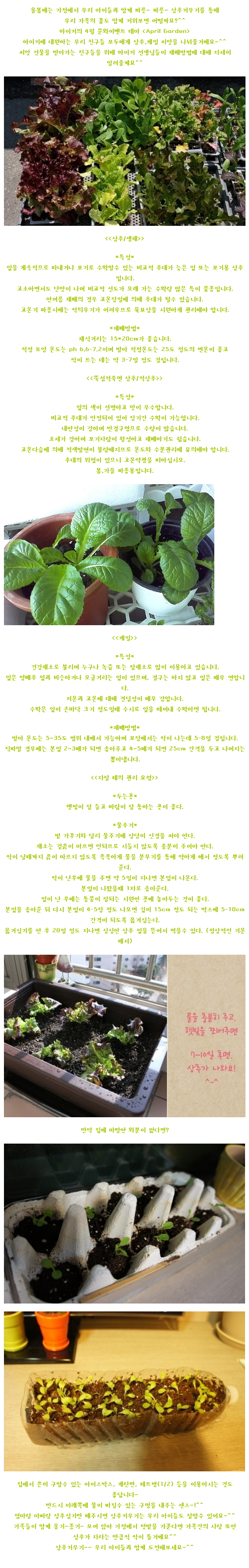 [4월 문화이벤트] 아이들을 위한 상추, 케일 키우기 도전~~